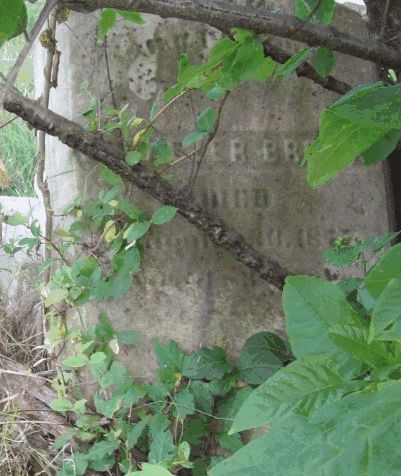 Grave