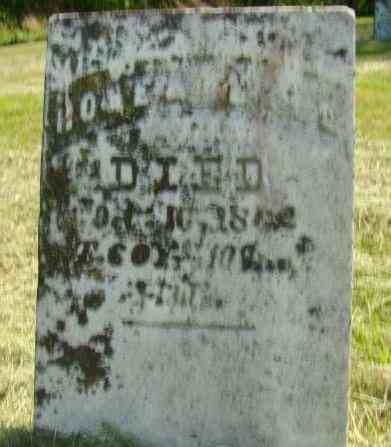Grave