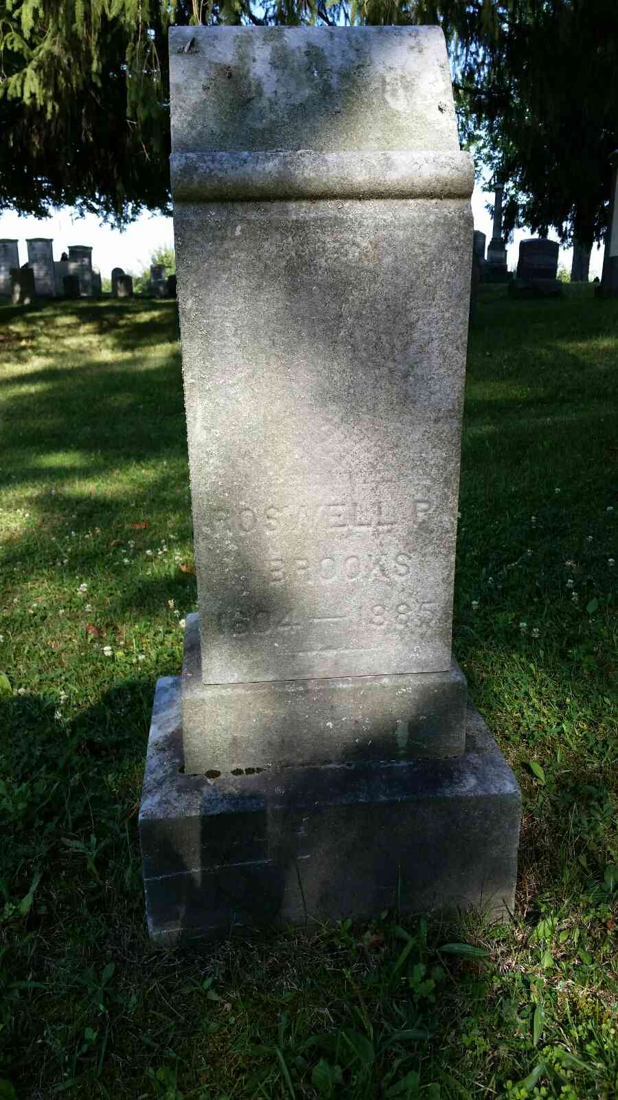 Husband's grave
