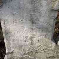 Thomas Boylston ADAMS - Grave