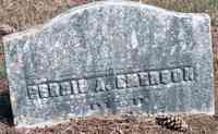 Persis ADAMS - Grave