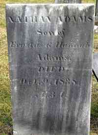 Nathan ADAMS - Grave