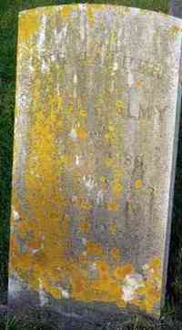 Samuel Elam ALMY - Grave
