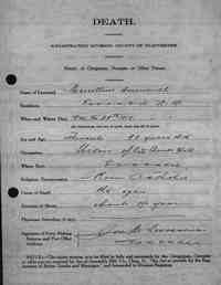 Marcelline ARSENAULT (ARSENEAU) - 1919 Death Certificate New Brunswick, Provincial Returns of Deaths, 1815-1919 