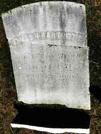 James Harper BARTLETT - Grave
