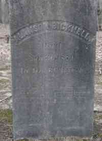 Alanson BICKNELL - Grave