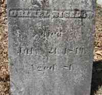 Orimel BIGELOW - Grave