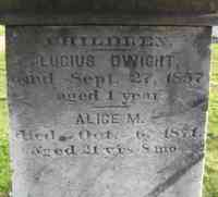 Alice Marilla BRADLEY - Grave