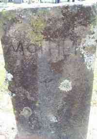 Mary Elizabeth BRANNAM (BRANUM) - Grave Her grave is marked only by a stone which carries the name Mother carved into it ,the stone is located beside Mary Ann Susan Kizzia Sprinkles