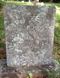 Walter A BRIGGS - Grave
