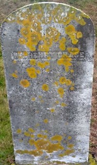William Henry CHASE - Grave