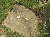 Prudence CHILD - Grave