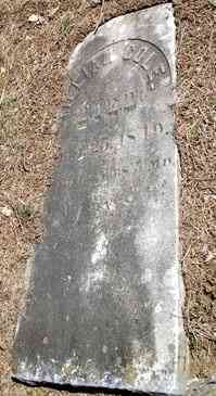 William COLE - Grave