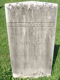 Hannah Sophia DICKINSON - Grave