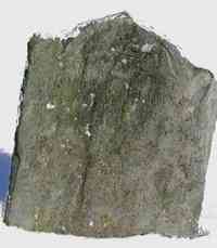 Josiah ELLIS - Grave