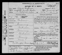 Agnes FABRICIUS - 1908 Death Record Name: Agnes Hoffman Death Date: 27 Jun 1908 Death Place: Medfield,,Massachusetts Gender: Female Race: White Death Age:  Estim