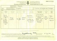 George Leyshon GIBSON - Death