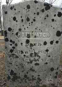 Noah HATCH - Grave