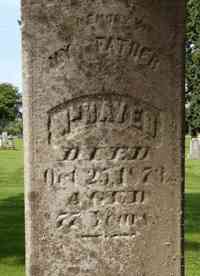 William HAYES - Grave