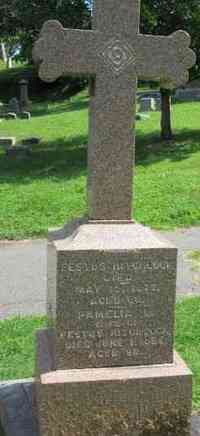 Festus HITCHCOCK - Grave