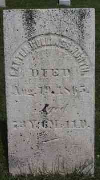 Carter HOLLINGSWORTH - Grave