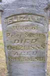 Elizabeth Jane HENRY (HOWEY) - Grave