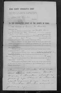 John Wallace HUNTER - Name:	John W Hunter Also Known As Name:	 Event Place:	Kings County, New York Event Date:	1895 Schedule Type:	Administration of the Goods, Chattels