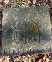 Beersheba JENNEY - Grave