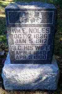 William Elisha NOLES - Grave