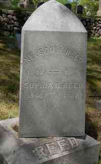 Nelson Root REED - Grave