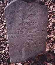 Nancy Jane LEWIS - Grave