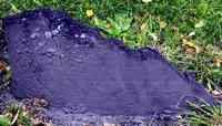 Mary LONG - Grave  Here lyes ye body of Mrs Mary Attwood Wife to  Deacon John Atwood aged 68 years decd March ye 18th 1728/29