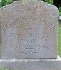 Gideon W MANCHESTER - Grave
