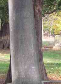 Emma MANSFIELD - Grave