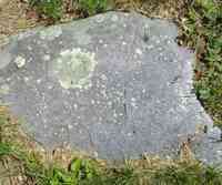 Experience METCALF - Grave