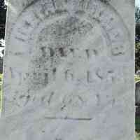William MILLER - Grave