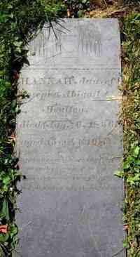 Hannah MOULTON - Grave