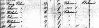 Wilhelm (William) PALME - Arrival Date:	11 Aug 1883 Ethnicity/ Nationality:	Bohemian Place of Origin:	Bohemia, Czechoslovakia Port of Departure:	Bremen, Germany and Southamp