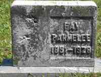 Fay Platt PARMELEE - Grave
