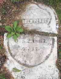 Steuben PEASE - Grave
