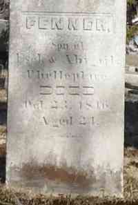 Fenner PHETTEPLACE - Grave
