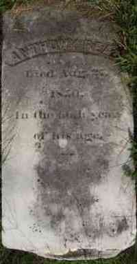 Anthony READ - Grave