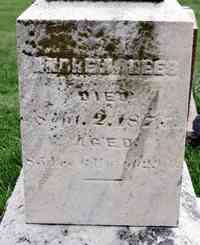 Andrew REES - Grave