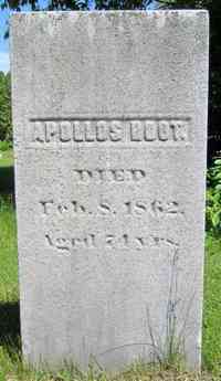 Apollos ROOT - Grave