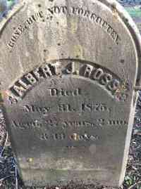 Albert James ROSS - Grave