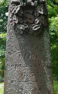 Allen SAGE - Grave
