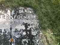 Adeline SALISBURY - Grave