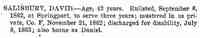 David SALISBURY - One Hundred and Sixtieth Infantry  http://dmna.ny.gov/historic/reghist/civil/rosters/ Infantry/160th_Infantry_CW_Roster.pdf