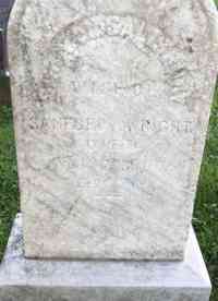 Sarah J SALISBURY - Grave