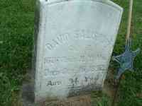 David SALISBURY - Grave of David Salisbury, Chestnut Hill Cemetery, Union Springs, New York